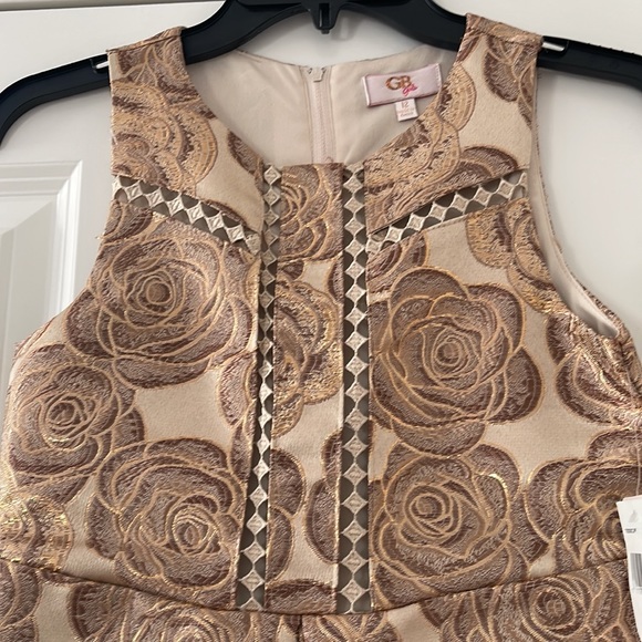 Beautiful and elegant girls dress for formal occasions. Size 12 brocade silk, - Picture 2 of 5